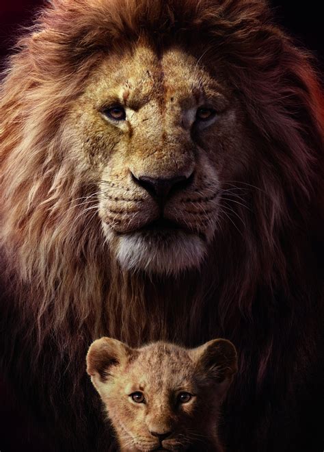 lion king 2019 yify|The Lion King (2019) .